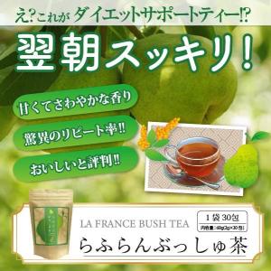ダイエット 茶 キャンドルブッシュ ラフランス...の詳細画像1