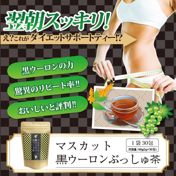 ダイエット 黒烏龍 茶 キャンドルブッシュ マスカット 送料無料