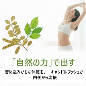 ダイエット 黒烏龍 茶 キャンドルブッシュ マ...の詳細画像4