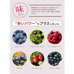 サイリウム スムージー 180g (ミックスベ...の詳細画像4