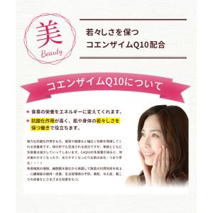 サイリウム スムージー 180g (ミックスベ...の詳細画像5