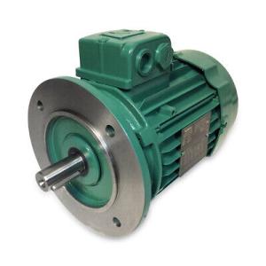 5.5KW（7.5HP）4P 1500RPM B5 LSES 132SM IFT/IE3 230D/...