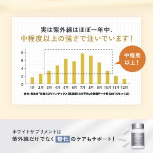 SBC MEDISPA ホワイトサプリメント(...の詳細画像4