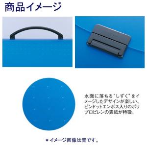 リヒトラブ キャリングバッグ A4用「A-50...の詳細画像1