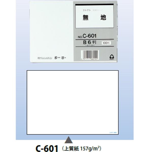 コレクト情報カード「C-601」B6判（無地）