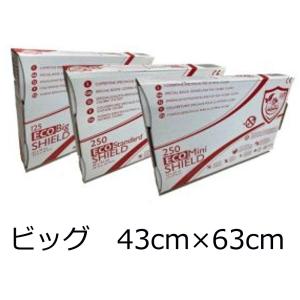 フィルムルックス コリブリカバー エコシールド ビッグ 02163