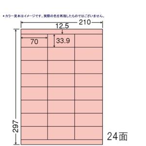 《東洋印刷》nanaカラーラベル 24面 CL-48R レッド＜1ケース＞｜sbd