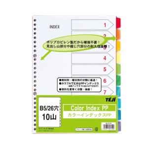 テージー カラーインデックスPP IN-2310 B5タテ10色10山