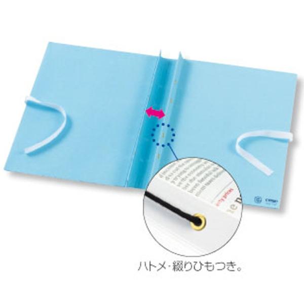 クラウンエィナーファイル CR-AN1116-BL 青 外ひも付き