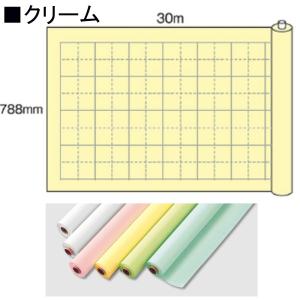 マルアイ 模造紙 マス目入り マ-53C クリーム 30m巻き｜sbd