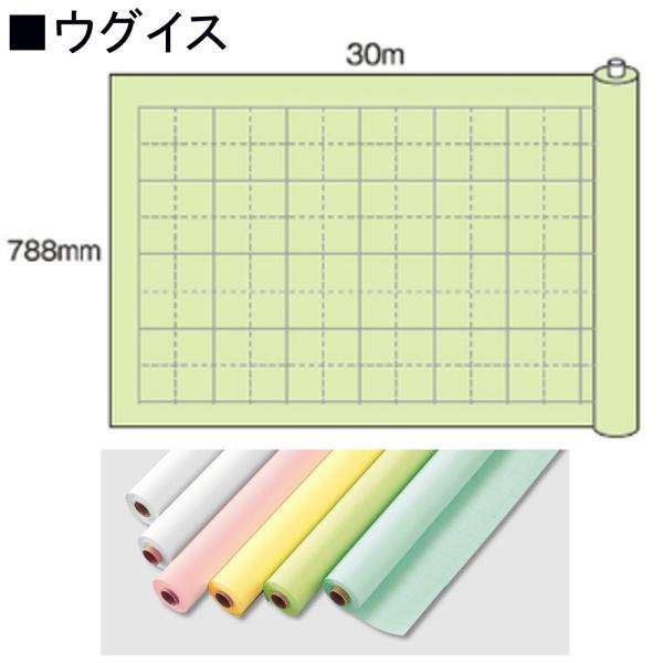 マルアイ 模造紙 マス目入り マ-53WA ウグイス 30m巻き