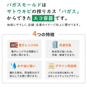 「SBT-パルプヒンジコンテナ二区切り L」「...の詳細画像3