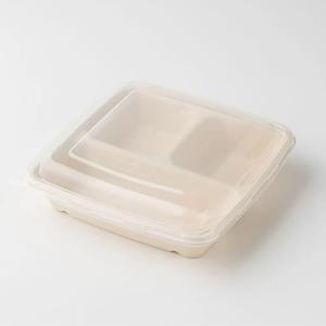「SBT-22.6cm 角三区切りパルプトレイ...の詳細画像4