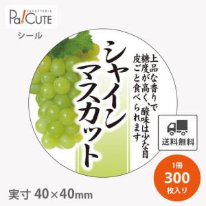 マスカットページ 楽天市場】【ふるさと納税】【数量限定 晴王便！】 【アフター保証付き
