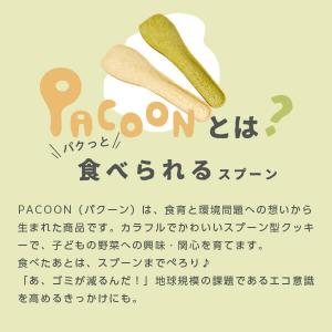 「食べれるスプーン(PACOON) ※5種の味...の詳細画像1