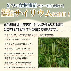銀座まるかん ゴッドハートダイエットJOKA青...の詳細画像3