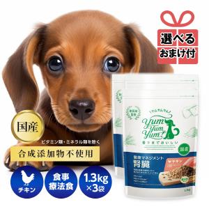 【選べるおまけ付き】yum yum yum！ 健康マネジメント腎臓 1.3kg×3袋 獣医師監修 食事療法 超小粒 正規品 ドッグ 犬用 全年齢 子犬【ヤムヤムヤム】｜HINAストア