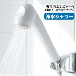 ガイアの水135 浄水シャワーヘッド ビビアンクラブシャワー カートリッジ付き カートリッジ シャワーカートリッジ テラヘルツ鉱石 浄化 酵素
