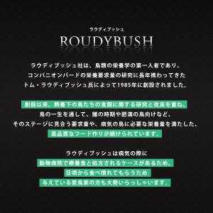 【正規品】 ラウディブッシュ デイリーメンテナ...の詳細画像1