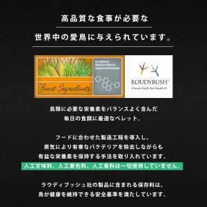 【正規品】 ラウディブッシュ デイリーメンテナ...の詳細画像2
