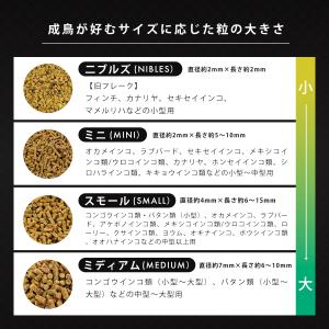 【正規品】 ラウディブッシュ デイリーメンテナ...の詳細画像3