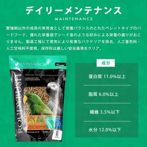 【正規品】 ラウディブッシュ デイリーメンテナ...の詳細画像4