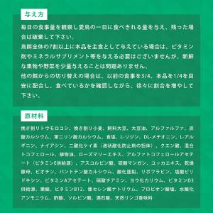 【正規品】 ラウディブッシュ デイリーメンテナ...の詳細画像5