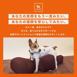 OneAid リラクッション S 小型犬用 犬...の詳細画像1