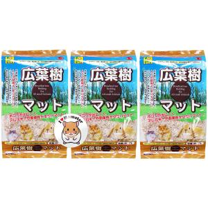 トレッドミルホイール大（約35cm）』 : SBSコーポレーション - 通販