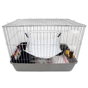 モモンガ セット モモンガ飼育セットA 〜基本コース〜 』 SBSコーポレーション