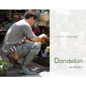 Dandelion (ダンデライオン)