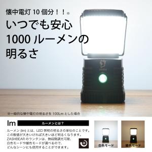 【NHKあさイチで紹介!】ZASHBEAR ラ...の詳細画像4