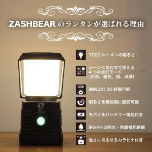 【NHKあさイチで紹介!】ZASHBEAR ラ...の詳細画像3