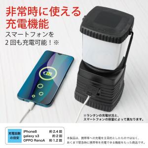 【NHKあさイチで紹介!】ZASHBEAR ラ...の詳細画像5