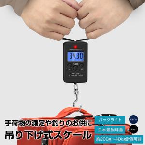 吊り下げ スケール 40kgまで 計測可能 弓力 測定 デジタル