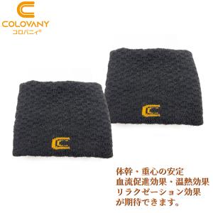 コロバニィ リストバンド 2個セット フリーサイ...の商品画像