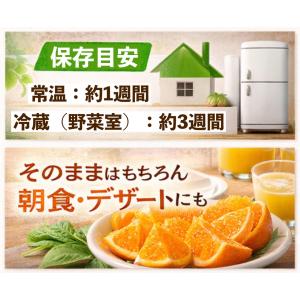 たんかん 奄美 5kg タンカン 贈答用 キズ...の詳細画像5