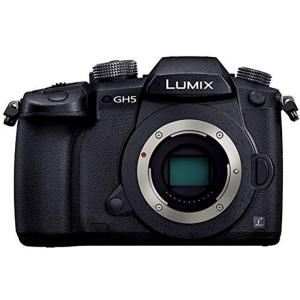 LUMIX パナソニック Panasonic ルミックス DMC-GF6 ボディ ブラック