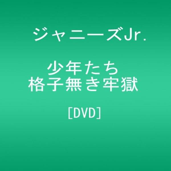 少年たち 格子無き牢獄 DVD