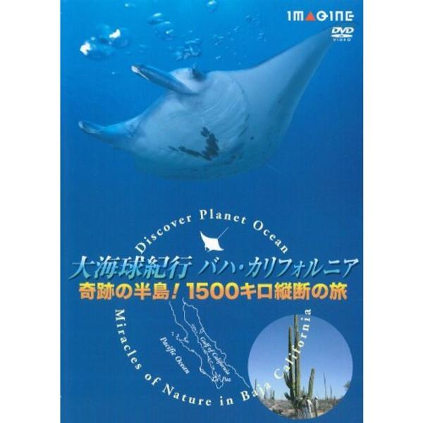 大海球紀行バハ・カリフォルニア 奇跡の半島1500キロ縦断の旅 DVD