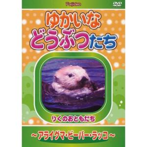 さすらいのドッグトレーナー Vol.2~問題犬スペシャリスト/あなたのダメ