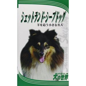 すばらしき犬の世界シェットラ VHS