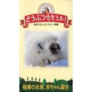 どうぶつ奇想天外 極寒の氷原、赤ちゃん誕生 VHS