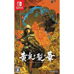 Switchアーシャのアトリエ ~黄昏の大地の錬金術士~ DX (パッケージ版