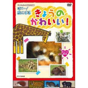NHKDVD ダーウィンの動物大図鑑 はろ~あにまる きょうのかわいい キュートBOX