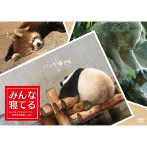 ベーシック編(生活の中のしつけ)[K9ゲームで楽しみながら愛犬のしつけDVD](中古品) ベーシック編(生活の中のしつけ)K9ゲームで楽しみながら愛犬のしつけ
