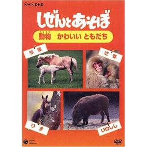 しぜんとあそぼ ~動物 かわいい ともだち~ DVDの商品画像