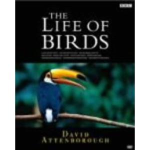 BBC ライフ・オブ・バーズ/鳥の世界 DVD-BOX