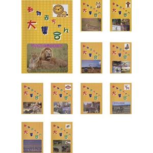 動物赤ちゃん大集合 全11巻セット マーケットプレイスDVDセット商品