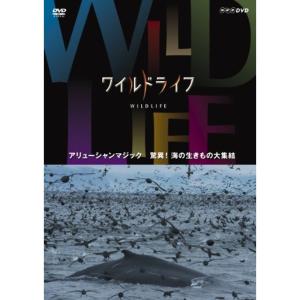 ワイルドライフ アリューシャンマジック 驚異 海...の商品画像